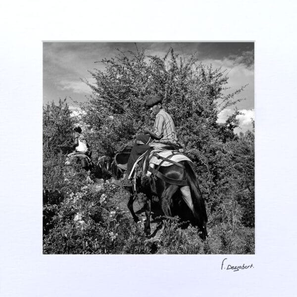 Passe-Partout - Extraction du liège, Corte