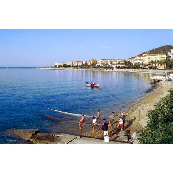 Photo de pêche à la senne ritaghjoli à Ajaccio en Corse