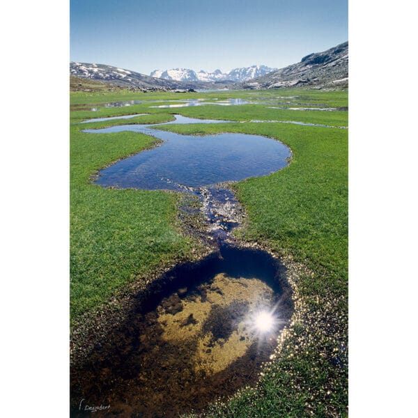 Photo des pozzi - Lac de Ninu en Corse