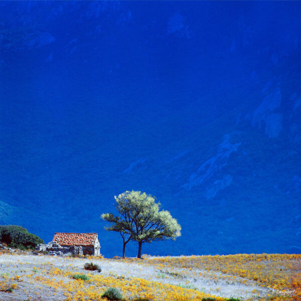 Photo de La Maisonnette de Saparella, Corse